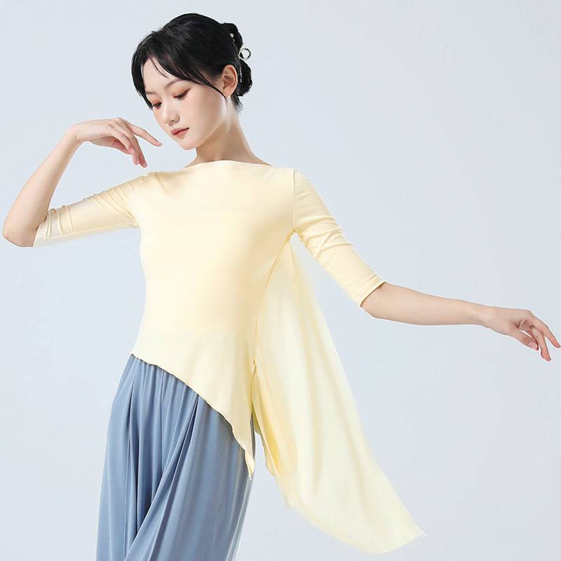 Modern dance exercise girl 2024 new dance top Chinese classical dance adult fluttering body rhyme clothing