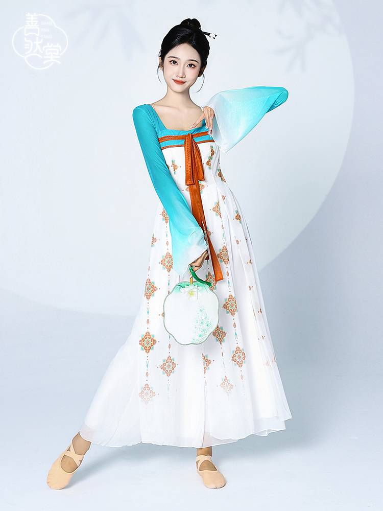 Shan Ran Hall's new skirt classical dance dance clothing body rhyme yarn Chinese dance elegant practice clothes to perform female guys