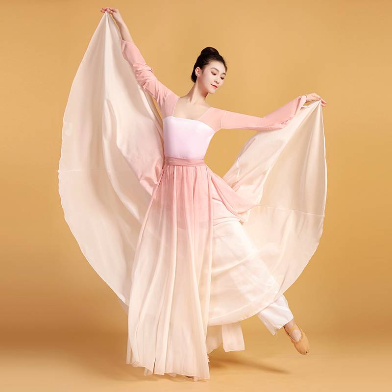 Lu Xing's same rose flower classical dance exercise dance dance clothes pink dress performance show