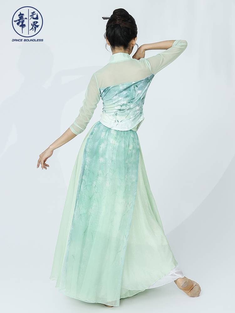 Classical dance cheongsam dance clothing elegant female body rhyme, exercise, adult net yarn Chinese dance performance suit suit
