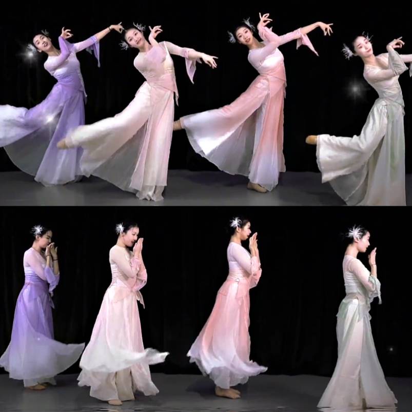 Spring Song Dance Clothing on the Chunshan Classical Dance Flower Body Rhyme Plasma Dress Fairy Practice Female Watch Female Watch Performance Clothing