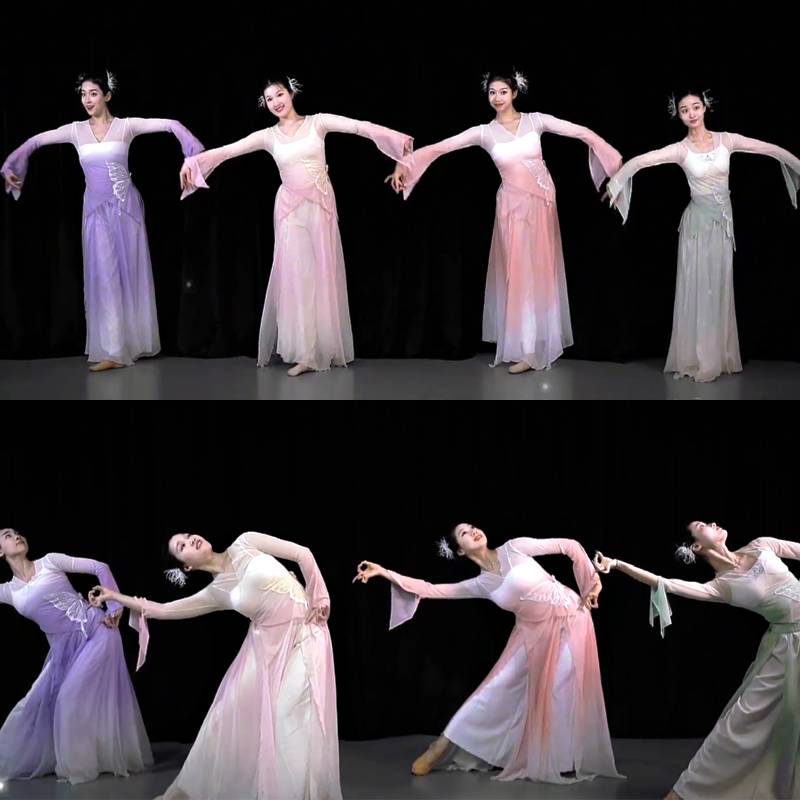 Spring Song Dance Clothing on the Chunshan Classical Dance Flower Body Rhyme Plasma Dress Fairy Practice Female Watch Female Watch Performance Clothing