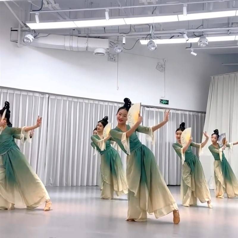 Green Skirt Dance Classical Dance Classical Dance Spring March Performance Series into the Painting Jiangnan Performance Services