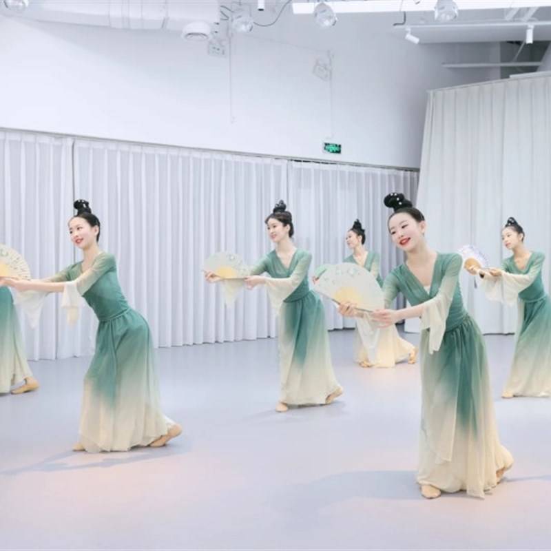 Green Skirt Dance Classical Dance Classical Dance Spring March Performance Series into the Painting Jiangnan Performance Services