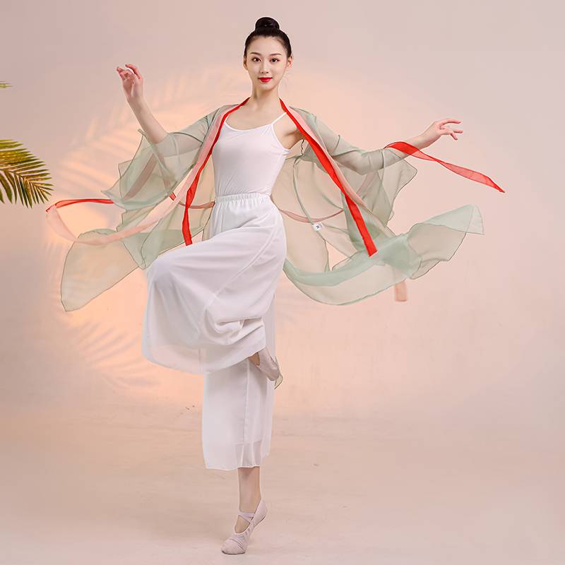 Classical dance clothing female elegant immortal gown top Chinese dance exercise clothes body rhyme gauze performance suit suits
