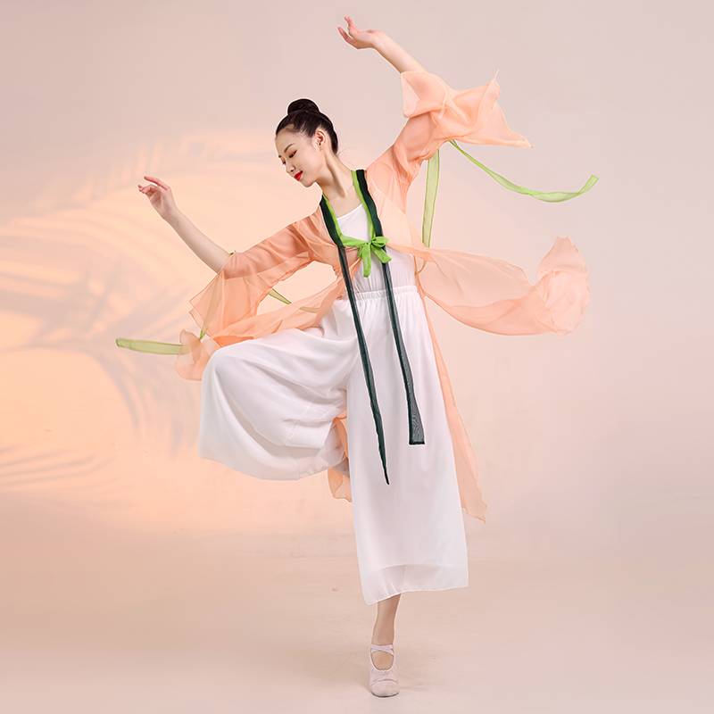 Classical dance clothing female elegant immortal gown top Chinese dance exercise clothes body rhyme gauze performance suit suits