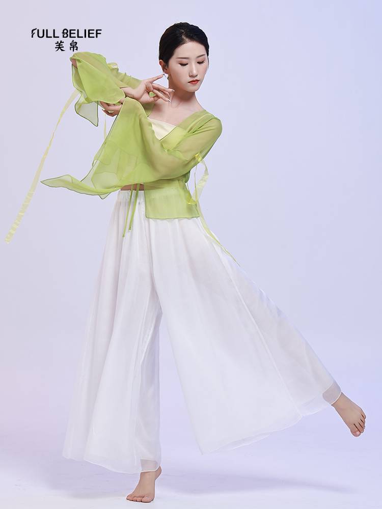 Fuyu Classical Dance Female Permanent Body Rhymes Fairy Ribbon Gauze Ancient Chinese Performance Dance Performance Series
