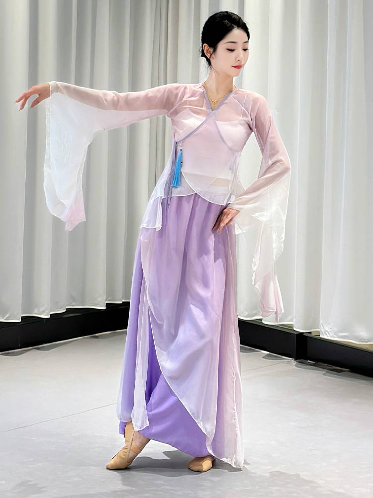 Classical dance clothing gauze Chinese dance exercise, female body rhyme, fairy, elegant chiffon body base training performance clothing