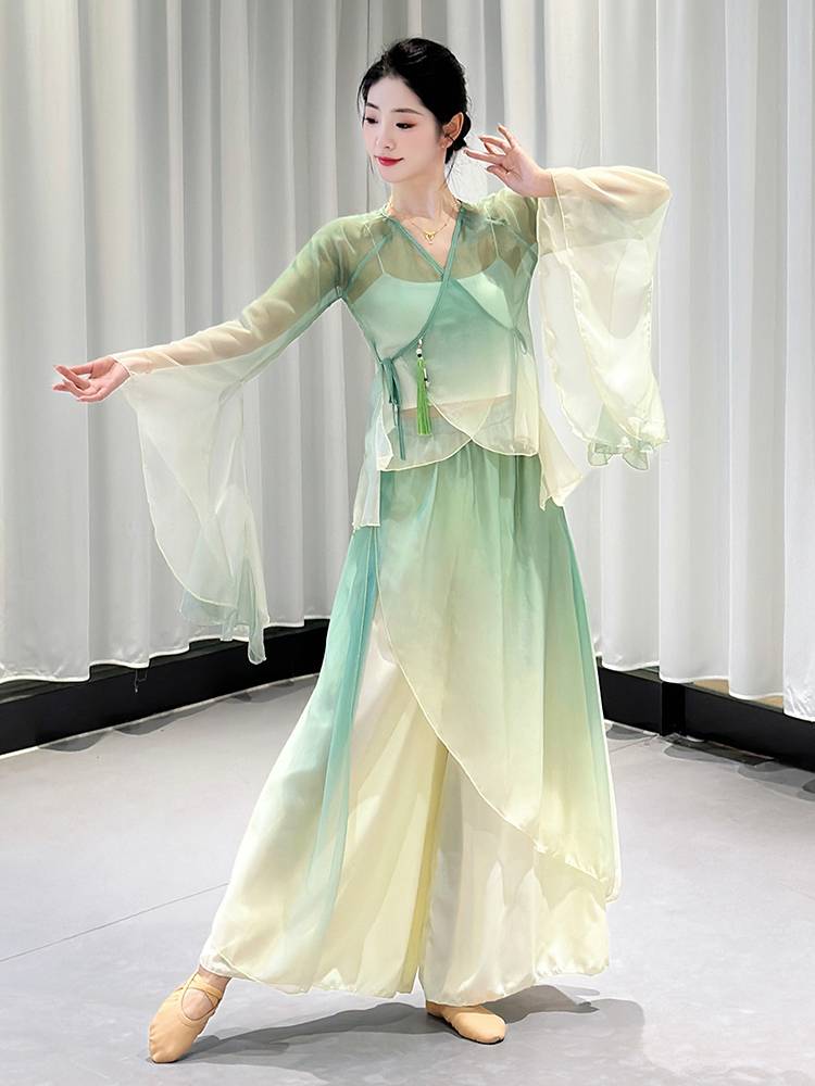 Classical dance clothing gauze Chinese dance exercise, female body rhyme, fairy, elegant chiffon body base training performance clothing