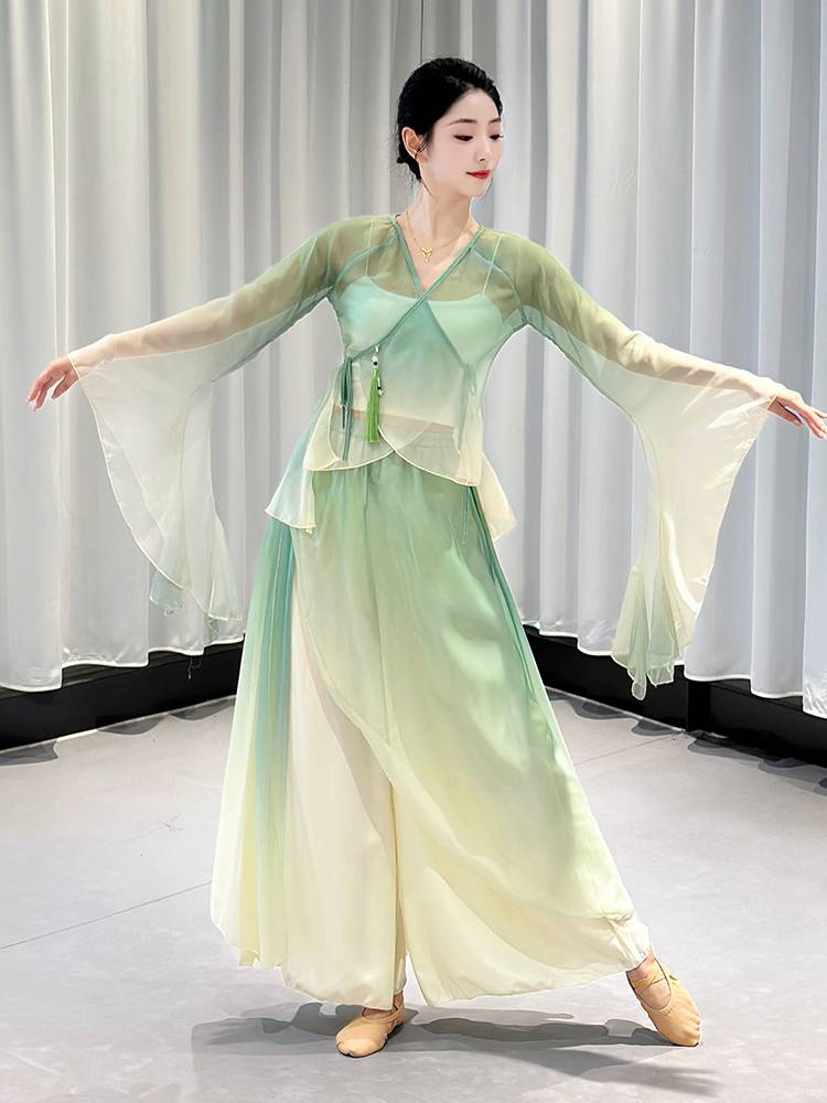 Classical dance clothing gauze Chinese dance exercise, female body rhyme, fairy, elegant chiffon body base training performance clothing