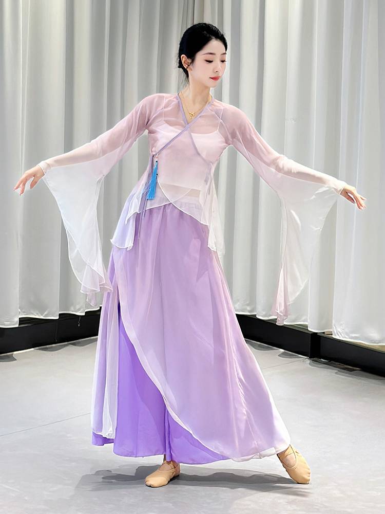 Classical dance clothing gauze Chinese dance exercise, female body rhyme, fairy, elegant chiffon body base training performance clothing