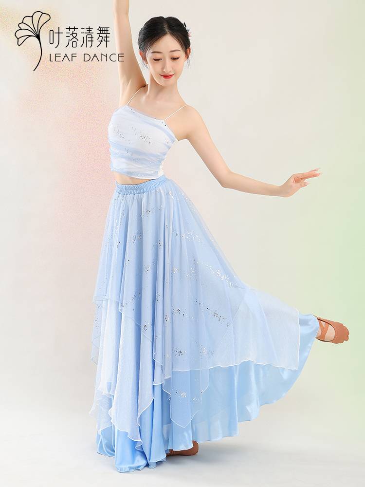 Ye Luo Qing dance classical dance clothing contrasting color net gauze stitching big skirt, elegant Chinese dance training meal show performance suit