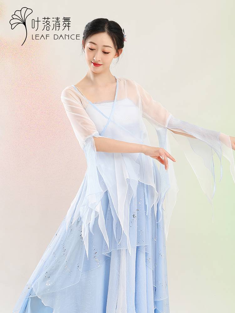 Ye Luo Qing dance classical dance clothing contrasting color net gauze stitching big skirt, elegant Chinese dance training meal show performance suit