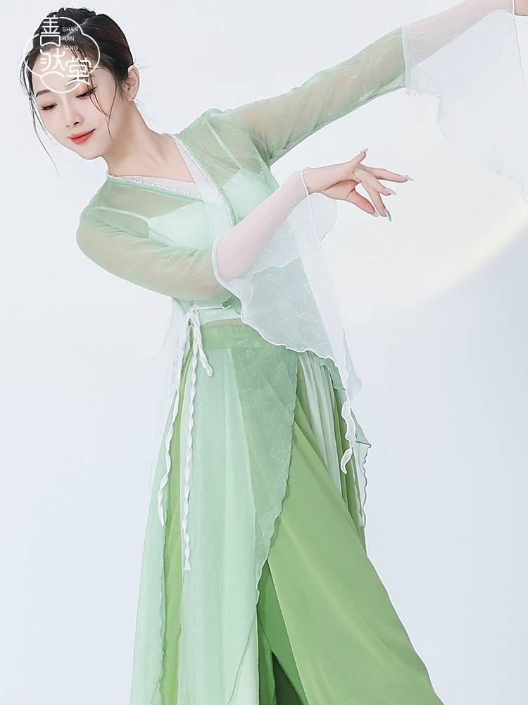 Shan Ran Hall's new dance clothing gauze dance elegant classical dance clothing top female body rhyme training service performance service
