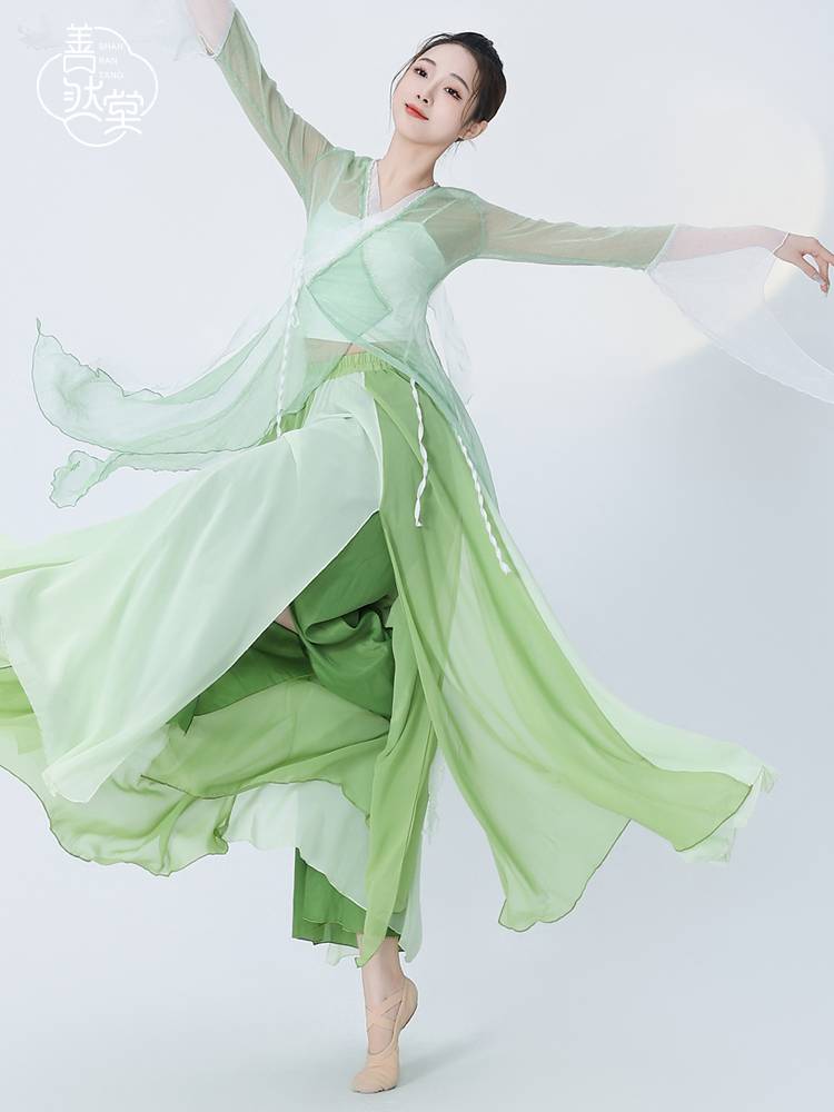 Shan Ran Hall's new dance clothing gauze dance elegant classical dance clothing top female body rhyme training service performance service