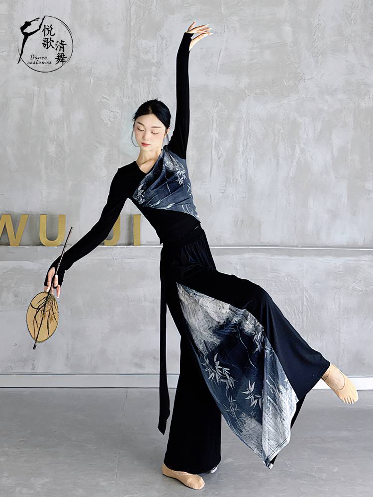 Classical dance pants practice service female wide -leg pants fairy, elegant new Chinese modern dance clothes dance pants loose