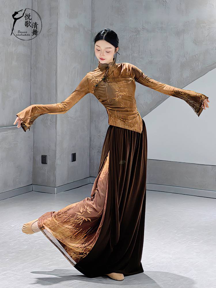Classical dance pants practice service female wide -leg pants fairy, elegant new Chinese modern dance clothes dance pants loose