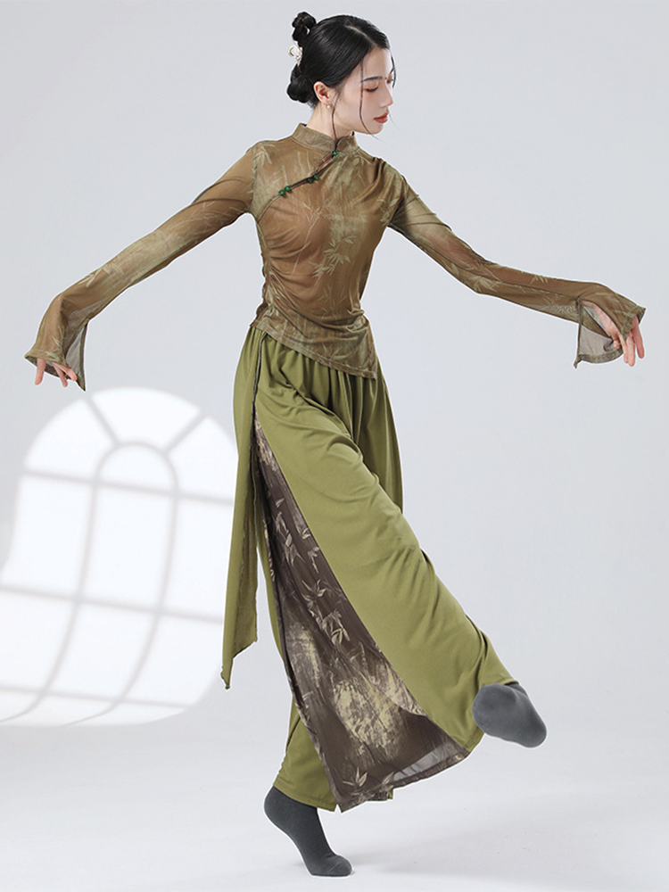 Chinese style dance pants Modern classical dance service female elegant body rhyme ink and ink loose dancing performance skirt pants