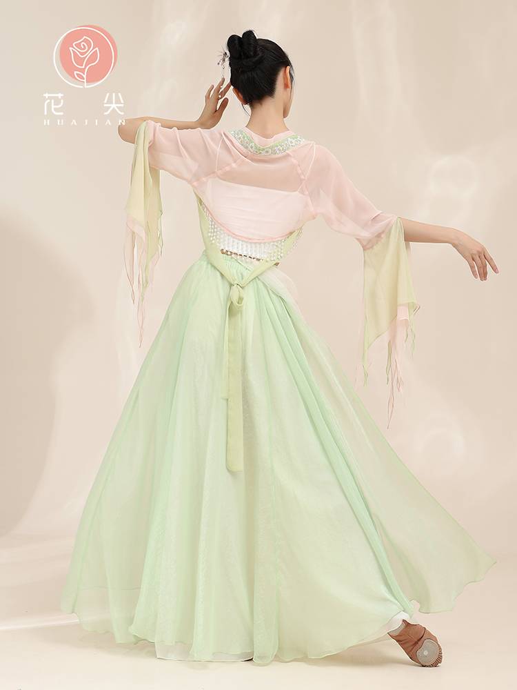 Huajian Classical Dance Embroidery Flower Permanent Shoulder Gauze Dance Performance Service Chinese Dance Chinese Dance Better Feather Skirt Pants Performance Services