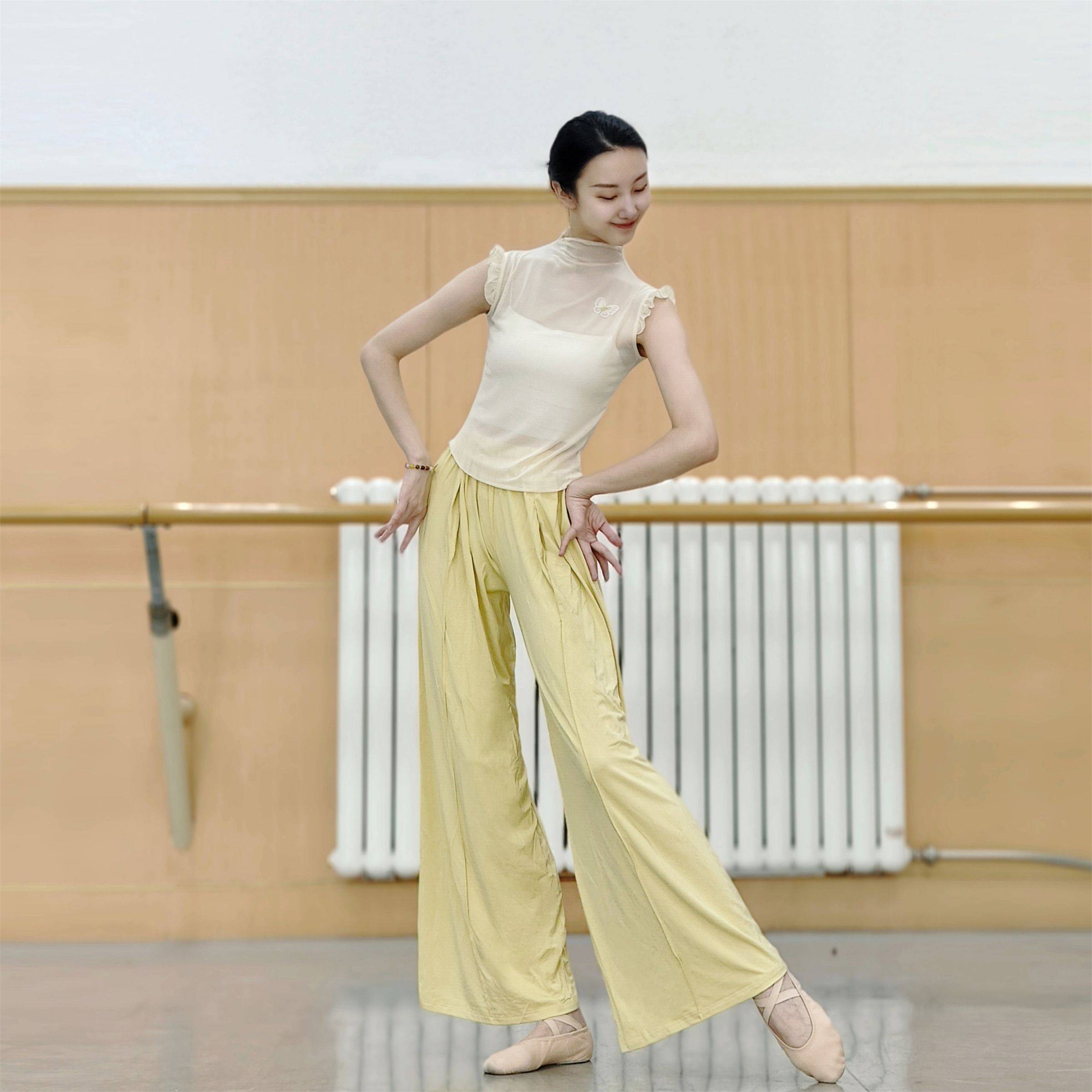 Classical dance gauze short -sleeved practice clothes slim butterfly dance clothing clothes, Chinese dance body rhyme, national style