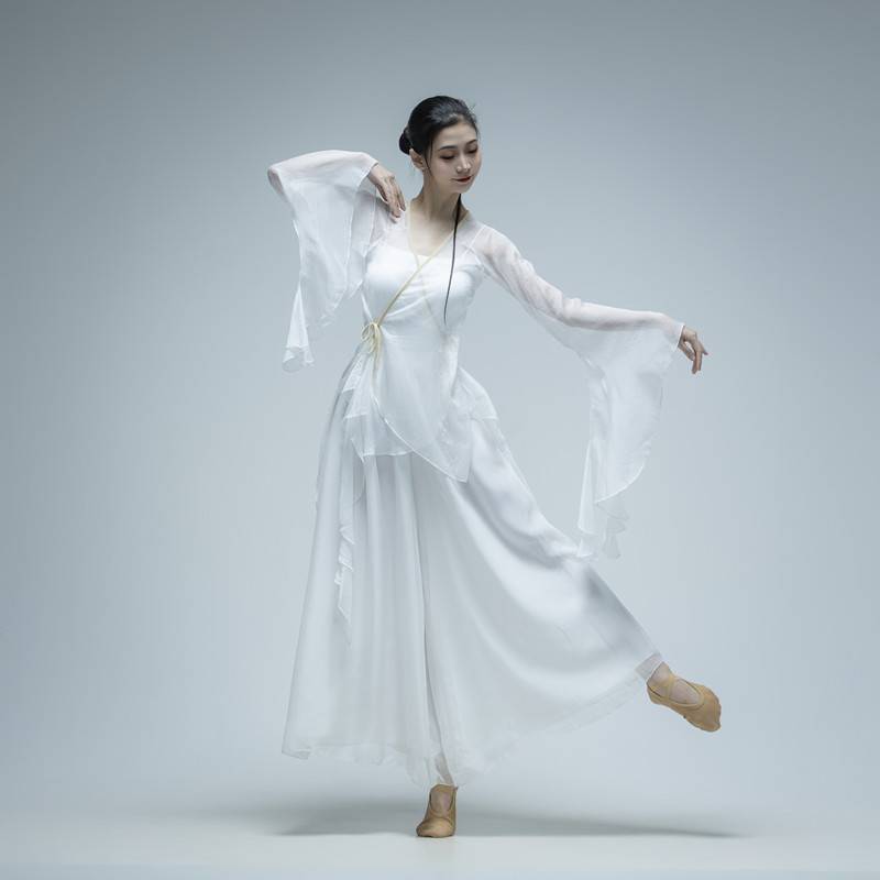 Classical dance service female elegant practice service art test shows the Chinese dance body rhyme dance gauze fairy fairy