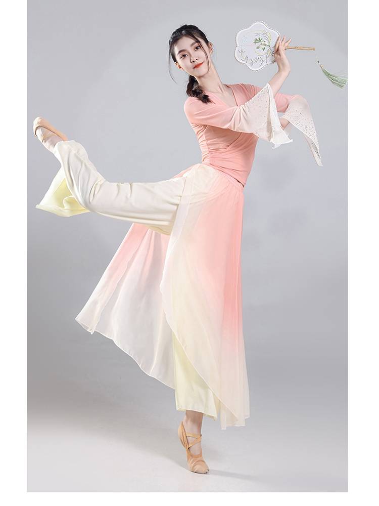 Classical dance clothing female practice clothes, net ya, rhyme yae, elegant immortality, Chinese national dance performance, clothing set
