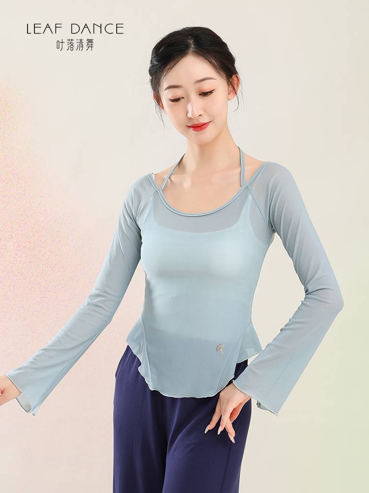 Ye Luoqing Dance Dance Classical Dance Long Sleeve Gauze Top Chinese Dance Adult Practice Services Modern Dance Sports Girl