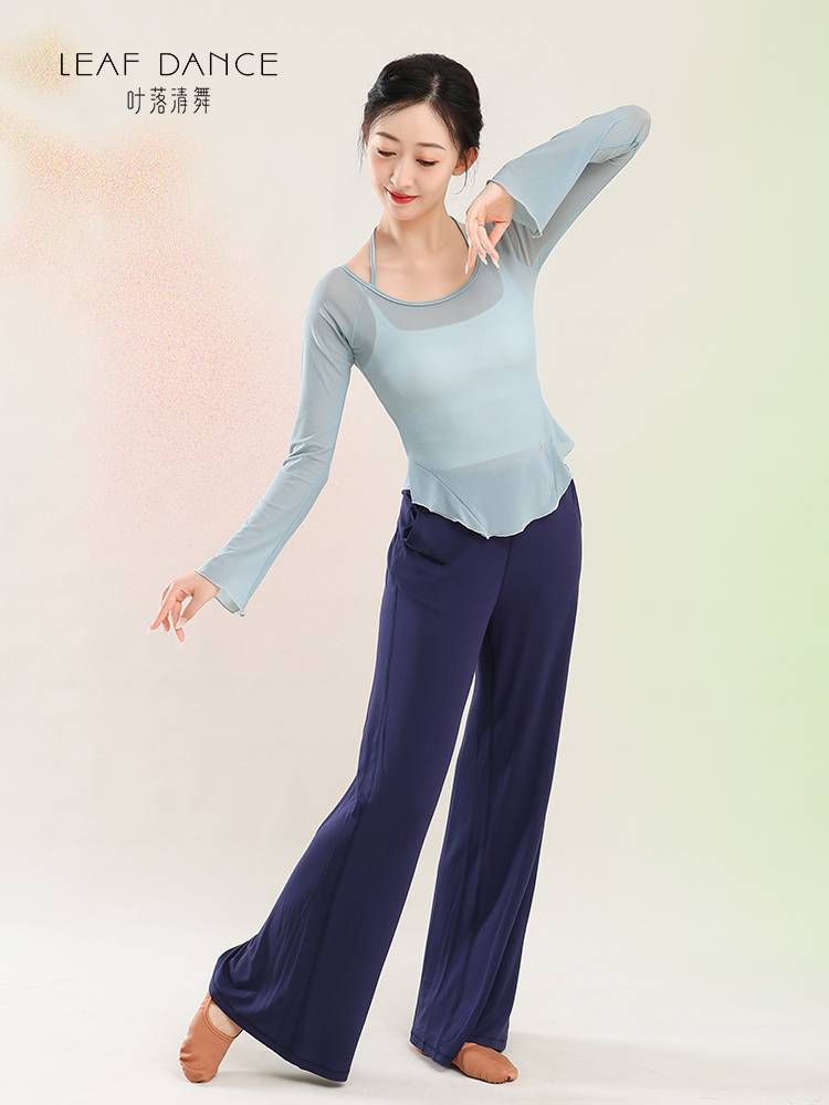 Ye Luoqing Dance Dance Classical Dance Long Sleeve Gauze Top Chinese Dance Adult Practice Services Modern Dance Sports Girl