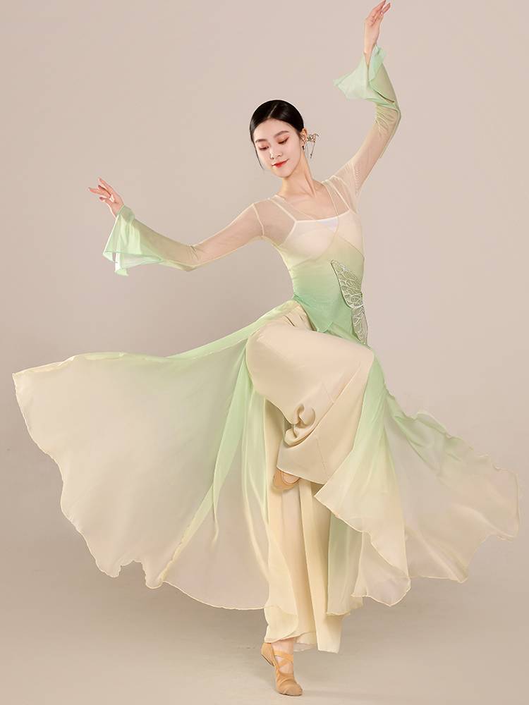 Classical Dance Gravity Butterfly Warves Practice Delivery Uniform Chinese Dance Practice Performance Series Set