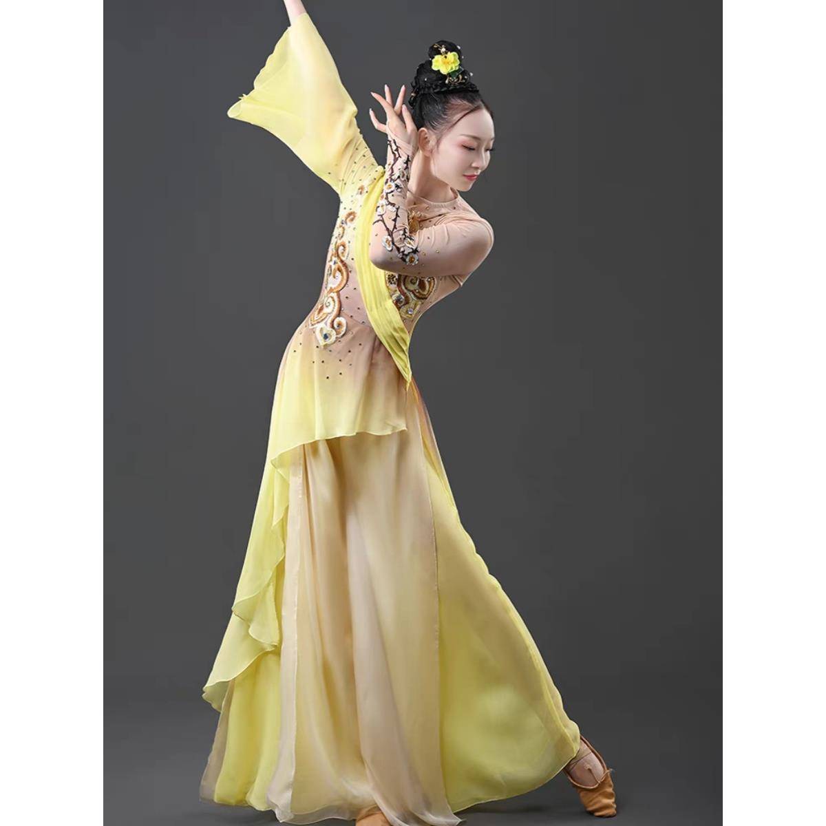 Tao Li Cup Classic Dance Classic Dance Classic Dance Dance Clothing Performance Female Watch Performing Arts Examination Chinese Dance