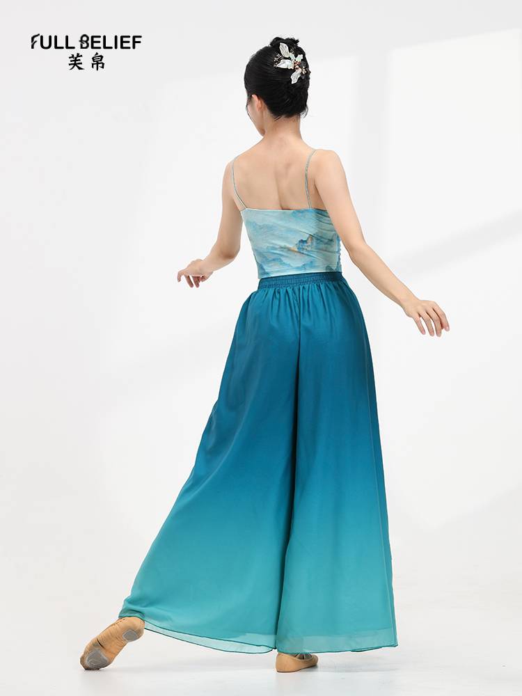 Fuxi Classical Dance Dance Function Service Chinese Style Dance Clothing New Chinese Printing Bottom with a small suspender top