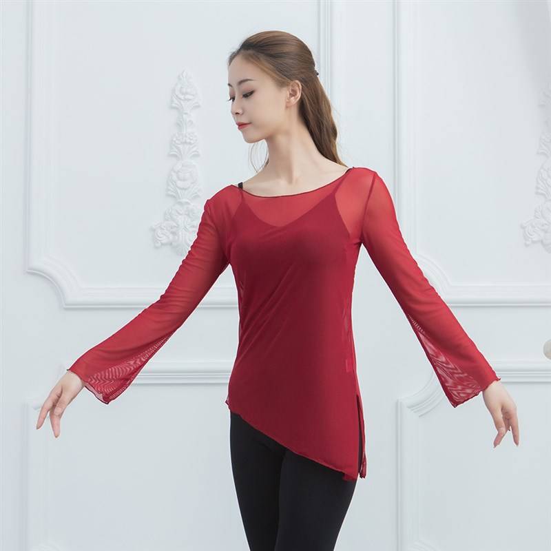 Spot classical dance gauze i dance practice service female adult art test performance service elastic net gauze ballet long sleeves