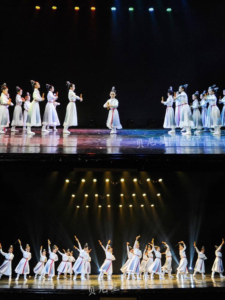 Ambition Junior Dance Book Jian Dance Props, ancient style Hanfu fan dance classical dance children's performance clothing