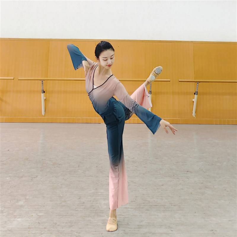 Classical dance yarn clothing, new clothing female elegant performance, net yarn top, short S summer dance practice