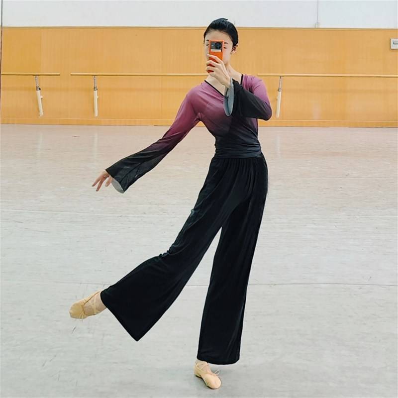 Classical dance yarn clothing, new clothing female elegant performance, net yarn top, short S summer dance practice