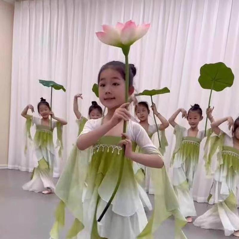 Classical Dance Performance Gradient Women's Practice Services Delivery Delivery Switch Chinese Wind Jiangnan Lotus Umbrella Children's Dance Clothing