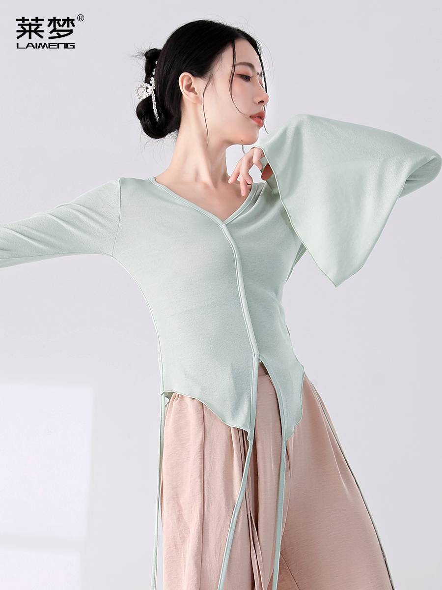 Classical dance service new shirt female elegant body rhyme long -sleeved modern dance exercises Chinese dance dance dance dance