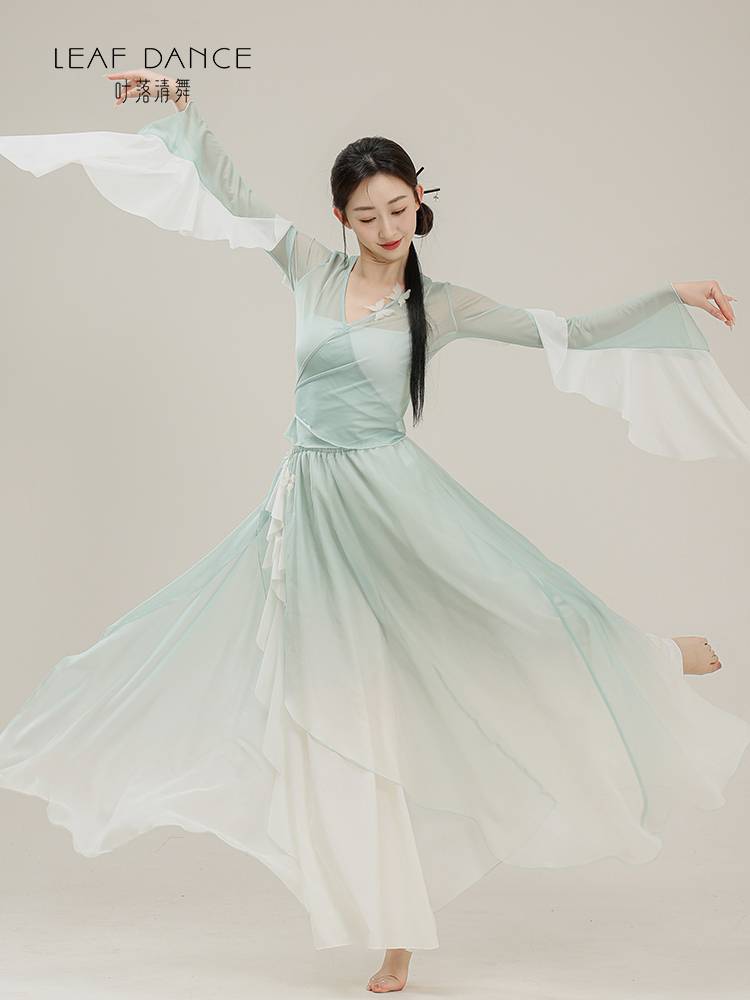 Ye Luo Qing Dance Classical Dance Body Rhyme Butterfly Turlines Dress Press Chinese Dance Performance Art Test Dance Practice Service