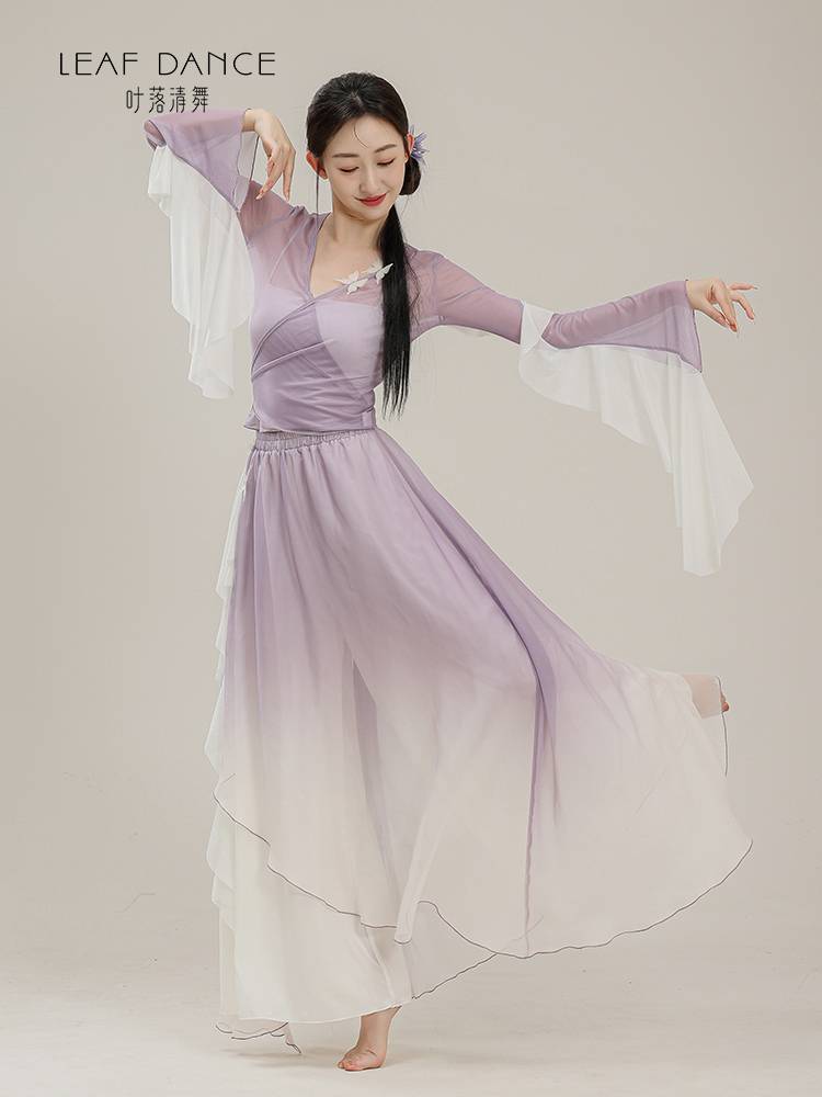 Ye Luo Qing Dance Classical Dance Body Rhyme Butterfly Turlines Dress Press Chinese Dance Performance Art Test Dance Practice Service