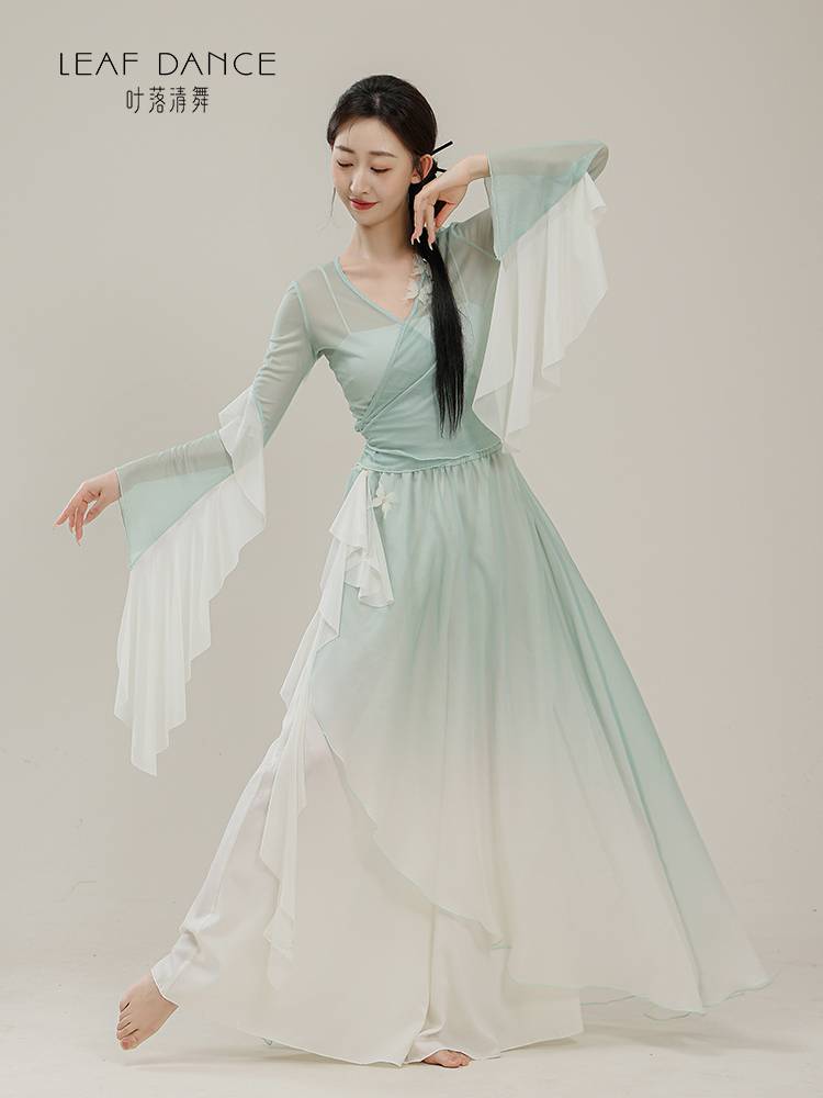 Ye Luo Qing Dance Classical Dance Body Rhyme Butterfly Turlines Dress Press Chinese Dance Performance Art Test Dance Practice Service