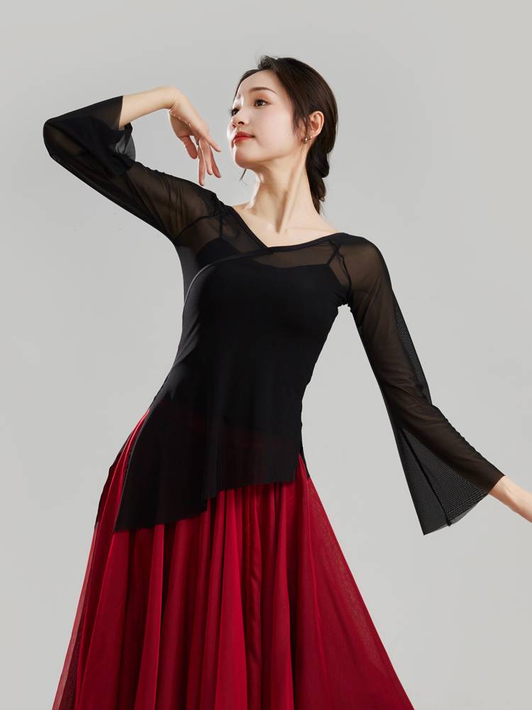 Dance Shadow Show Classical Dance Sales Clothing Clothing Clothing Nets Top Performing Classical Dance Practice Service T12-1
