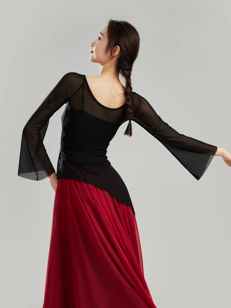 Dance Shadow Show Classical Dance Sales Clothing Clothing Clothing Nets Top Performing Classical Dance Practice Service T12-1