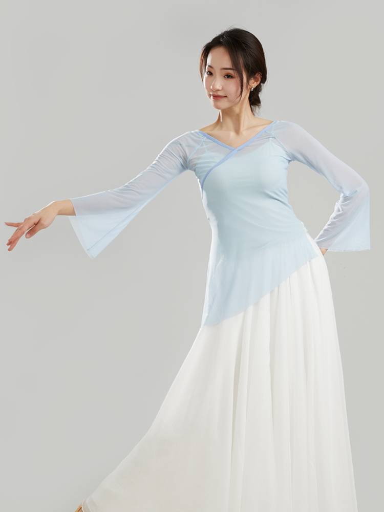 Dance Shadow Show Classical Dance Sales Clothing Clothing Clothing Nets Top Performing Classical Dance Practice Service T12-1
