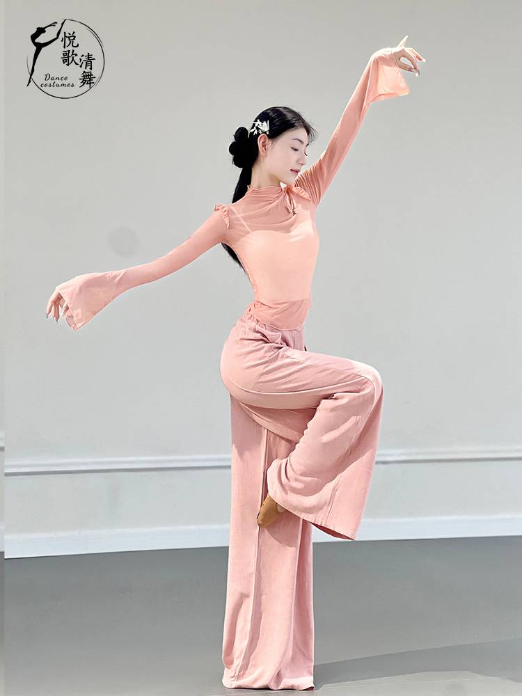 Classical dance gauze Chinese dance exercise service summer performance clothes elegant ballet dance top women's new style