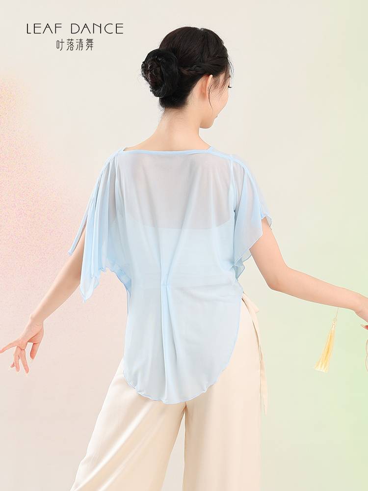 Ye Luoqing Dance Classical Dance Sataris Chinese Dance Bat Sleeve Sleeping Net Speed, Rhymes, Fairy Classical Dance Service