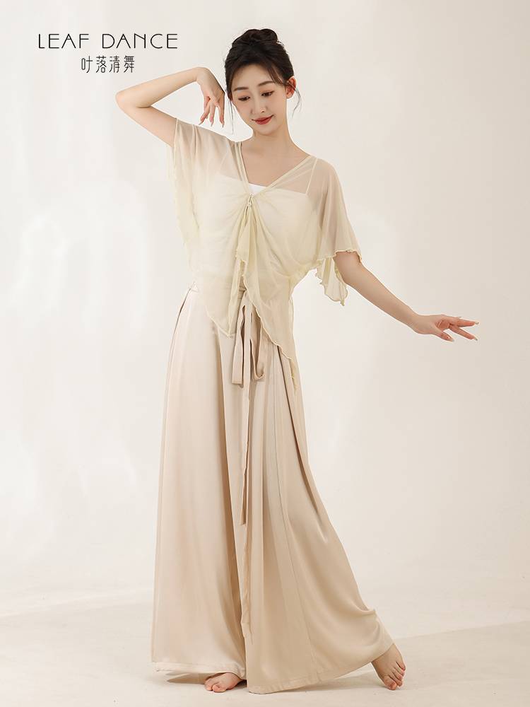 Ye Luoqing Dance Classical Dance Sataris Chinese Dance Bat Sleeve Sleeping Net Speed, Rhymes, Fairy Classical Dance Service