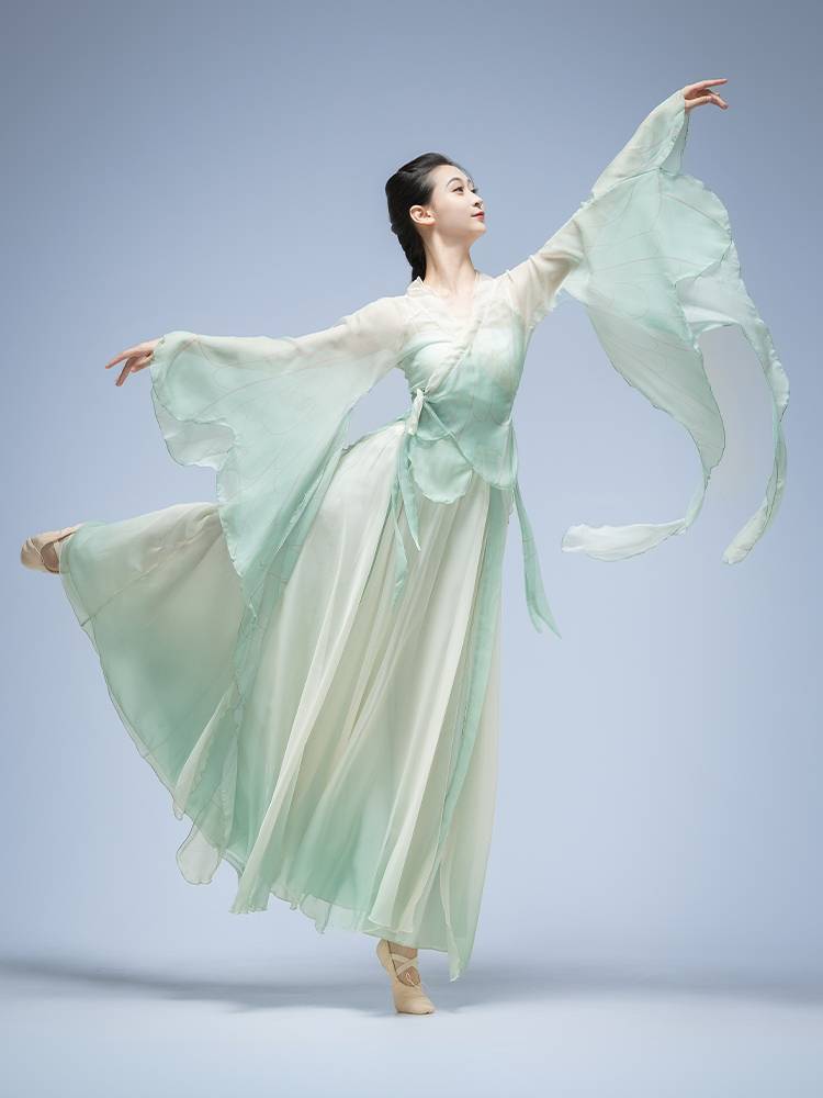 Classical dance clothing butterfly gradient elegant fairy new style beautiful gauze female skirt Chinese dance exercise performance clothing