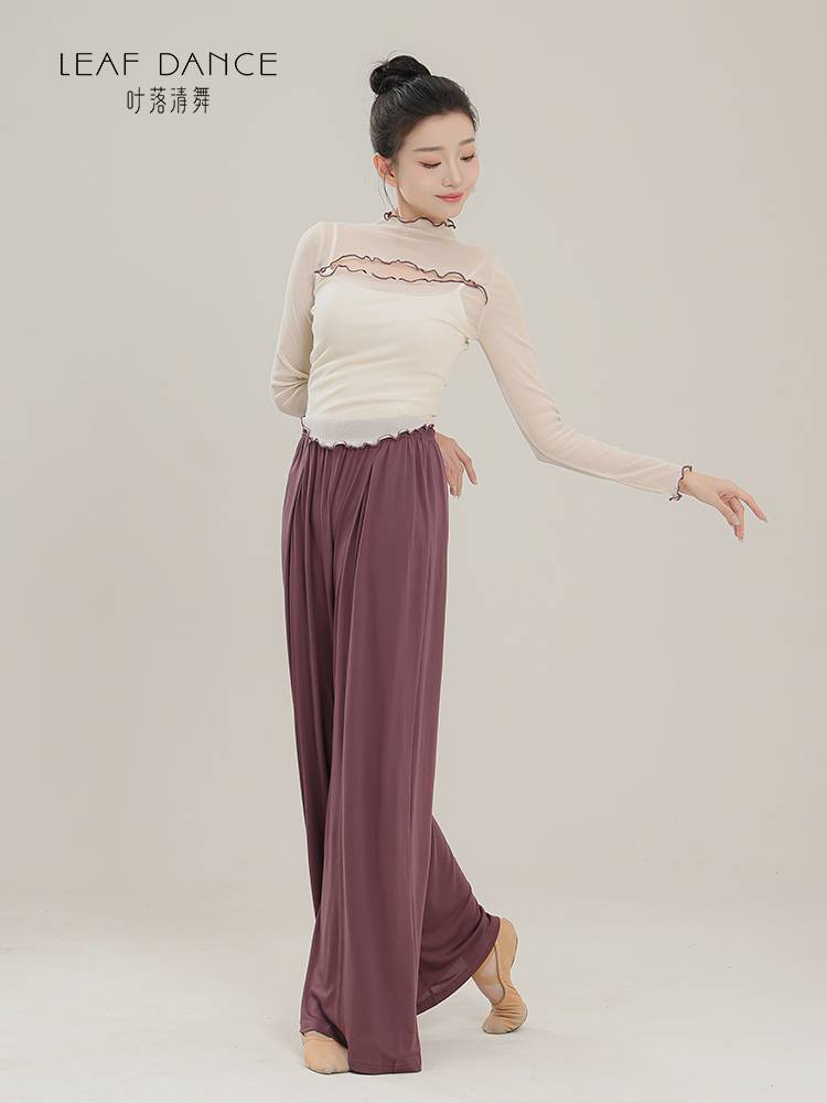 Ye Luo Qing Dance Classical Dance Body Rhyme Net Slutin, Film Flash Top Chinese Dance Girl Long -sleeved Modern Dance Practice Services