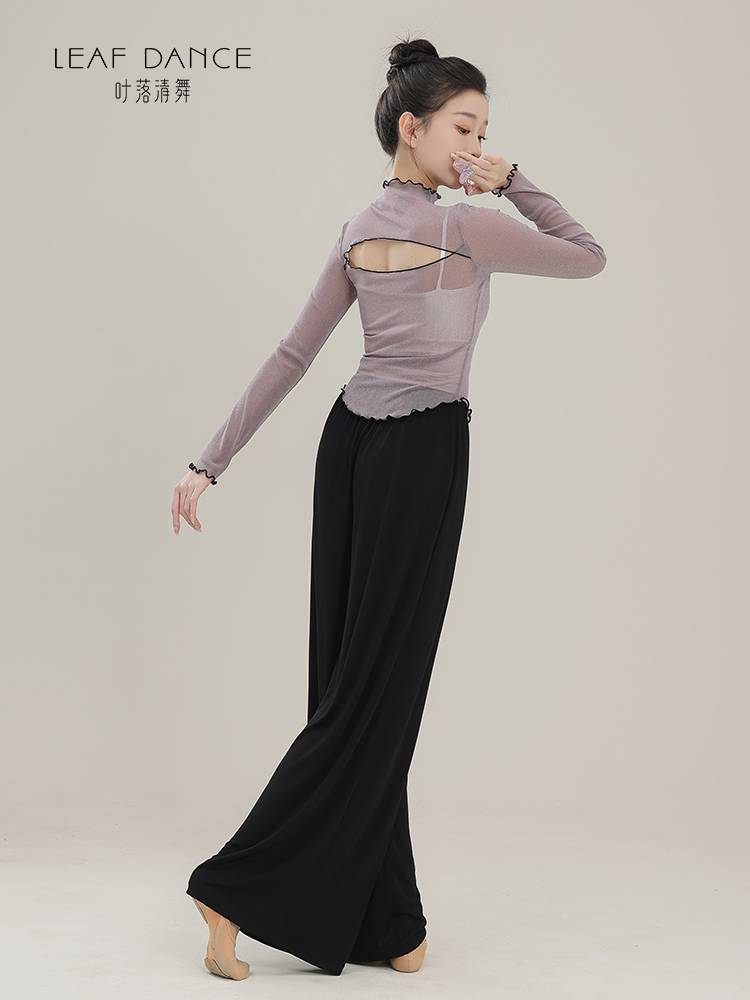 Ye Luo Qing Dance Classical Dance Body Rhyme Net Slutin, Film Flash Top Chinese Dance Girl Long -sleeved Modern Dance Practice Services