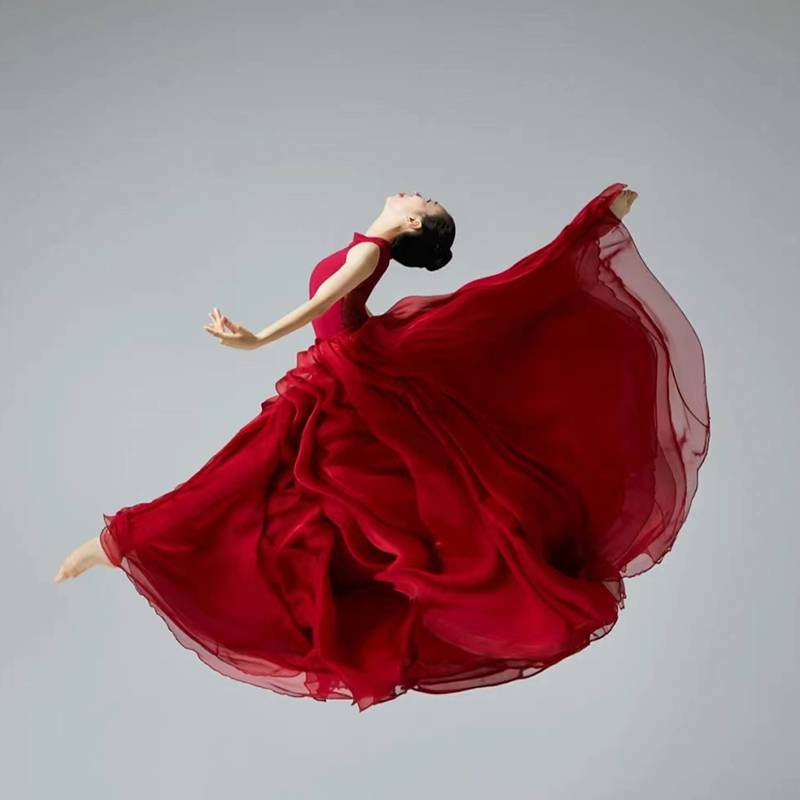 Classical Dance 720 degree dance big skirt practice female double -layer half -body elegant square modern national performance clothing